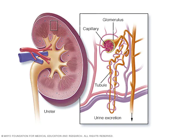 Flagyl after 5 days - CanadaDrugs: Canadian Pharmacy Online Flagyl after 5 days - CanadaDrugs: Canadian Pharmacy Online