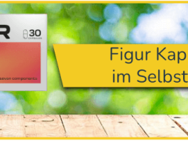 Figur im Selbsttest