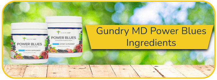 Gundry MD Power Blues Ingredients