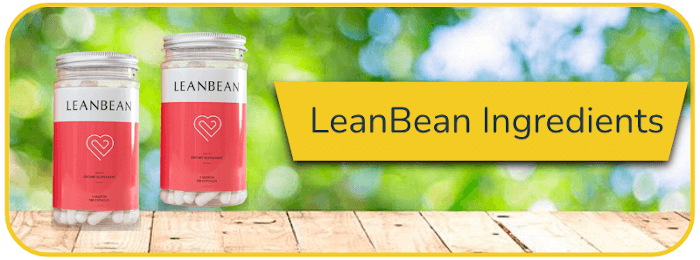 LeanBean Ingredients