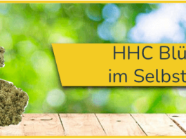 HHC Blueten Titelbild