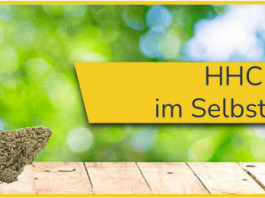 HHC Titelbild