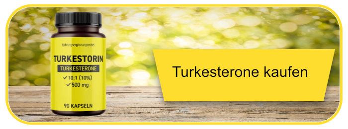 turkestorin kaufen