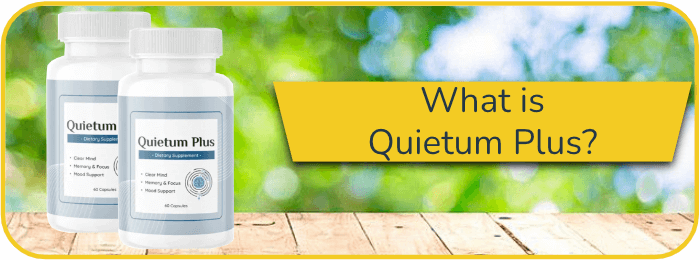 What is Quietum Plus