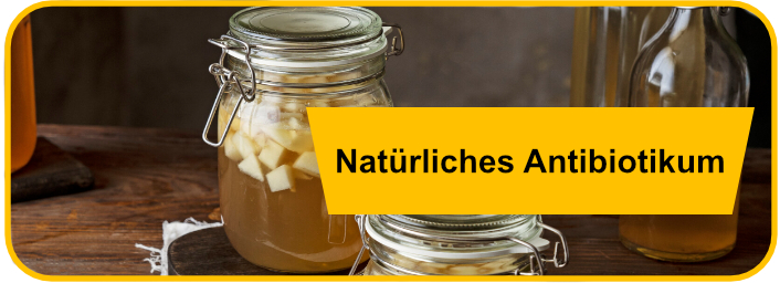 Antibiotika Selber Machen