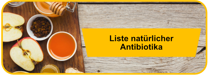 Liste natürlicher Antibiotika stoffe zutaten