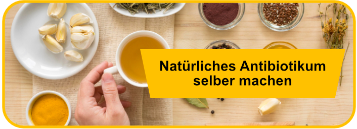 Natürliches Antibiotikum selber machen