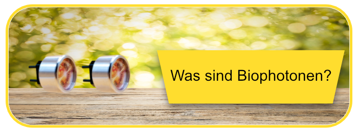 Biophotonen was ist das
