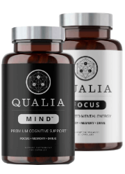 Qualia Mind image