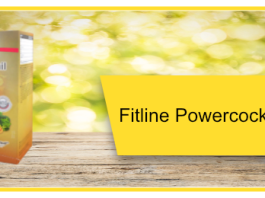 Fitline Powercocktail Test