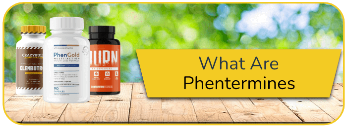 What are phentermines image